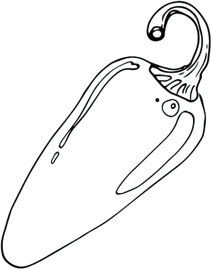 Sketch (1000x1200), Png Download