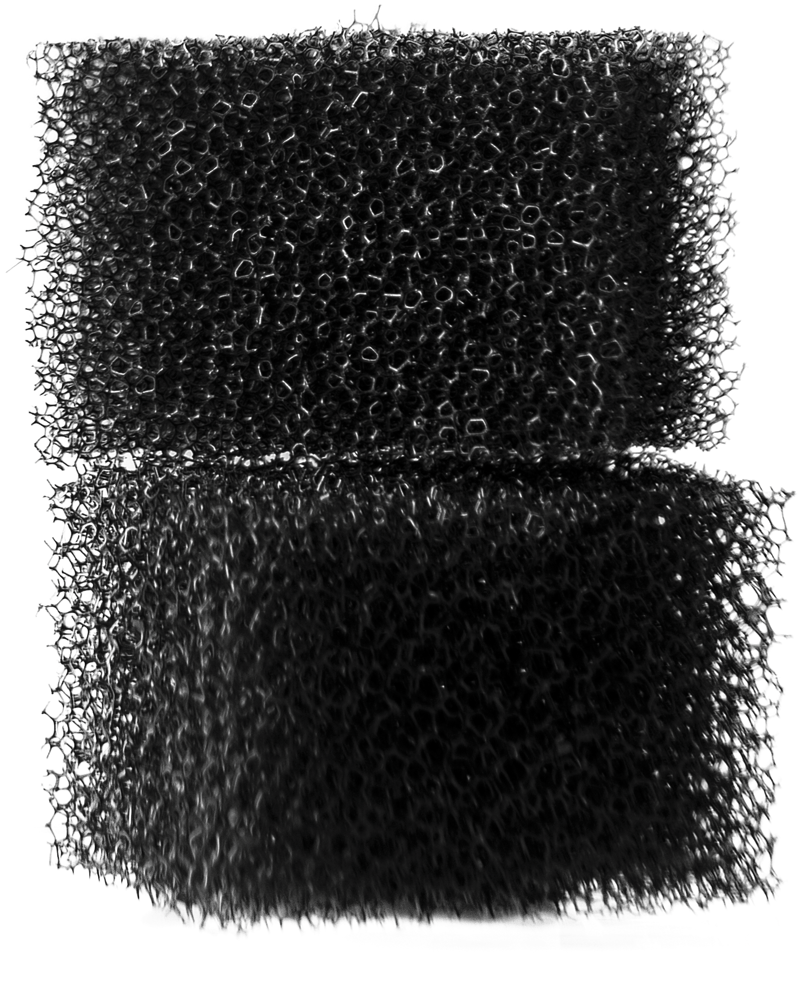 Stipple Sponge 12 Pcs - Leather (2032x2196), Png Download