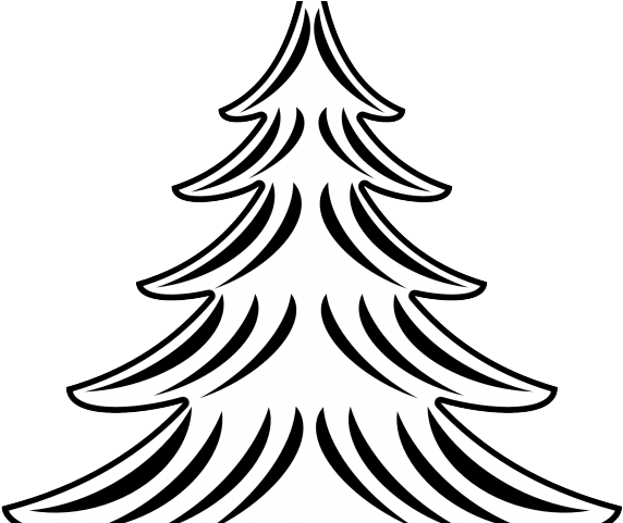 Pine Tree Clipart Top View - Clip Art Black And White Pine Tree (640x480), Png Download