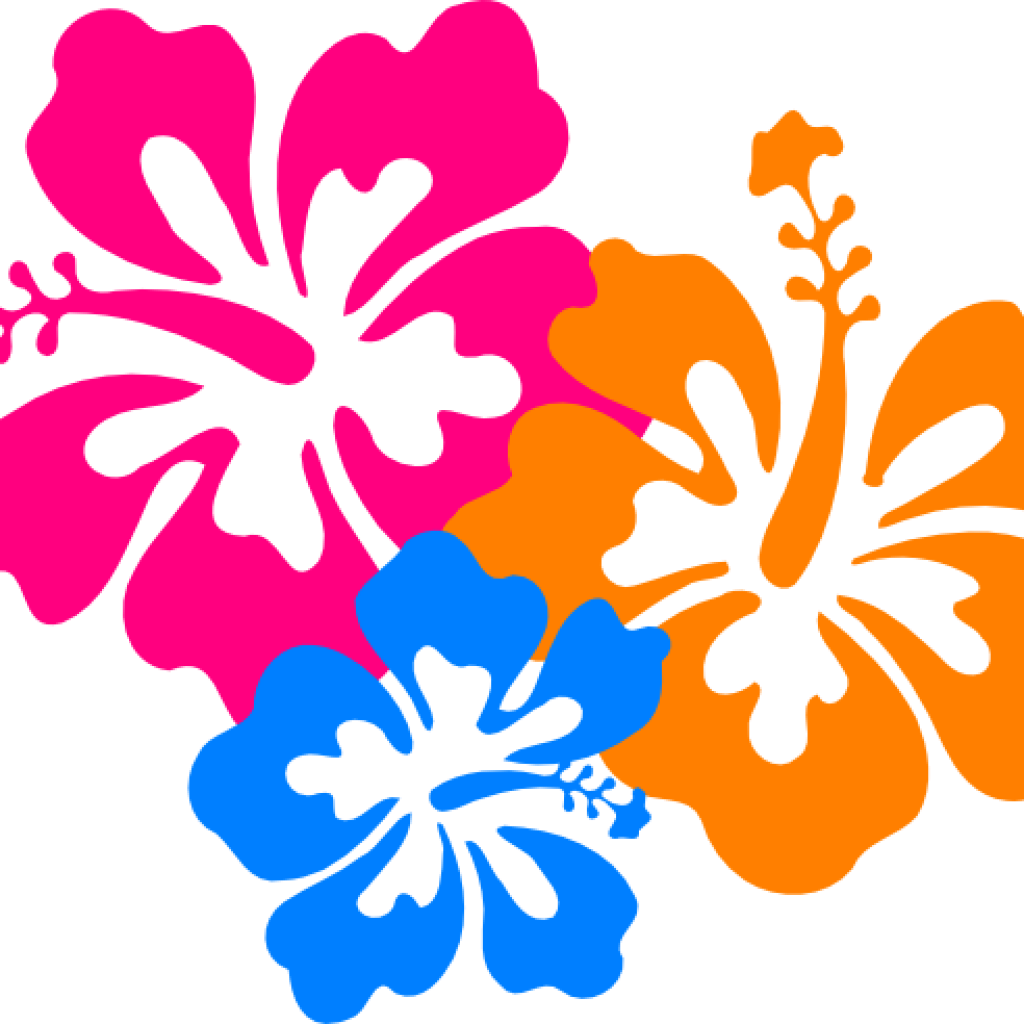 Hawaiian Border Clip Art Hawaiian Flower Clip Art Borders - Flowers Of Hawaii Png (1024x1024), Png Download