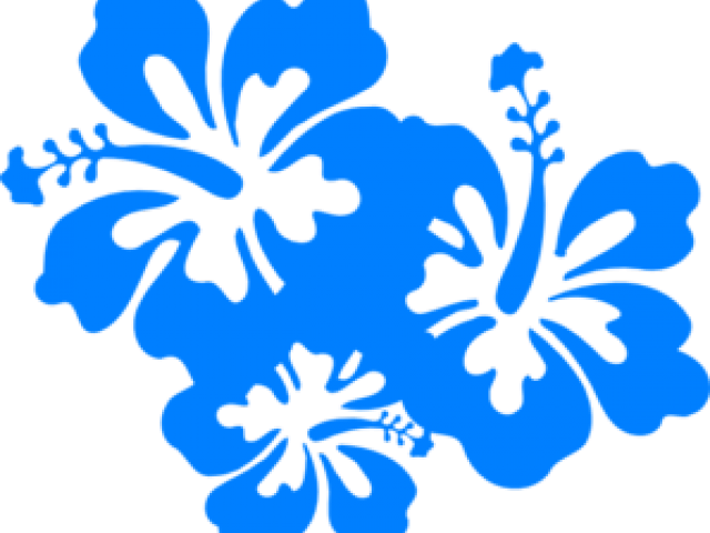 Buttercup Clipart Hawaiian Flower - Flowers Of Hawaii Png (640x480), Png Download