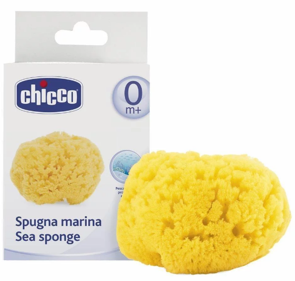 Chicco (800x600), Png Download