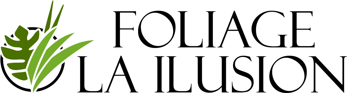 Foliage La Ilusion South America Colombia Farm Wholesale (1200x339), Png Download