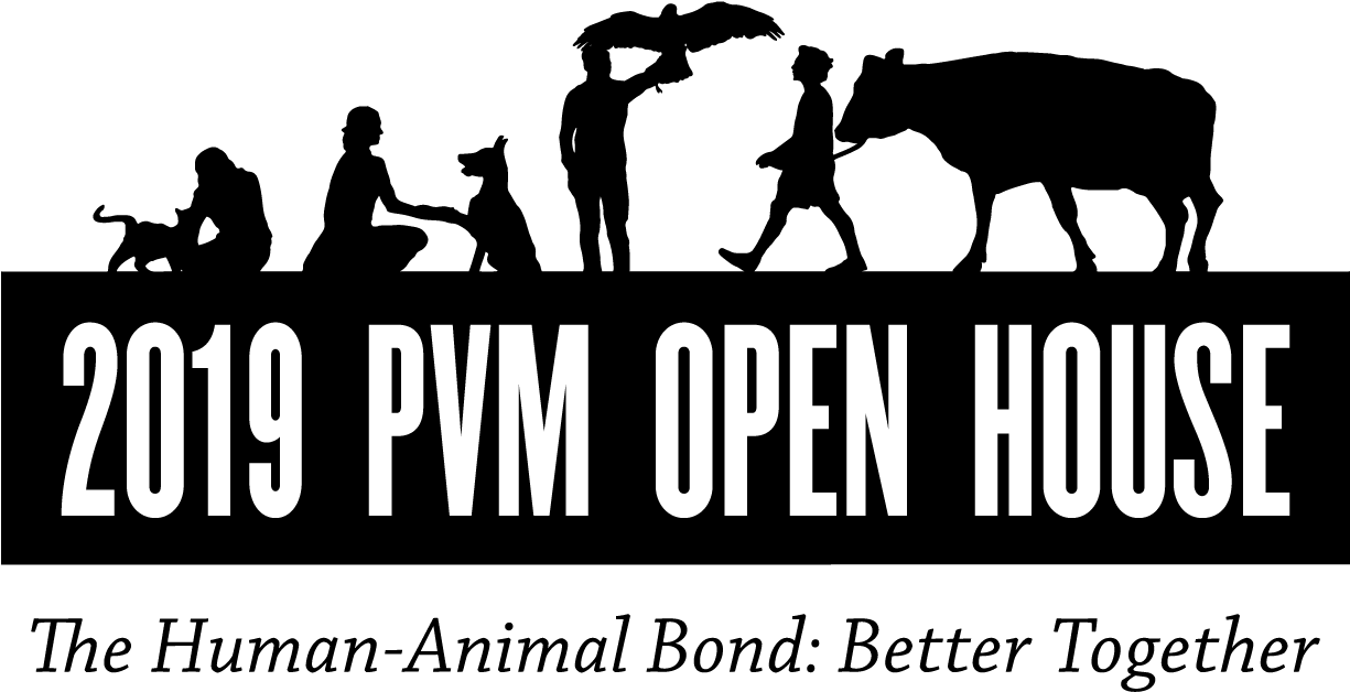 Saturday, April 6th, - Silhouette (1224x706), Png Download