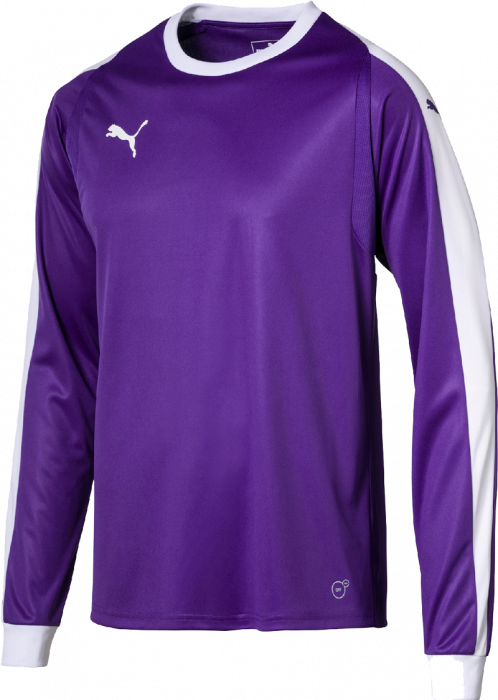 Puma Liga Gk Shirt Youth - Puma Goalkeeper Jersey Youth (498x700), Png Download
