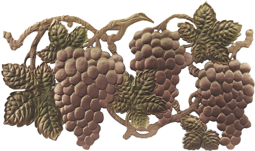 Grape Vine Png - Illustration (991x806), Png Download