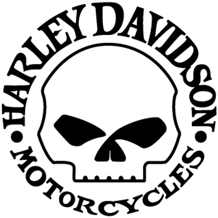 Harley Davidson Logo Skull Png - Harley Davidson Skull Vector (800x800), Png Download