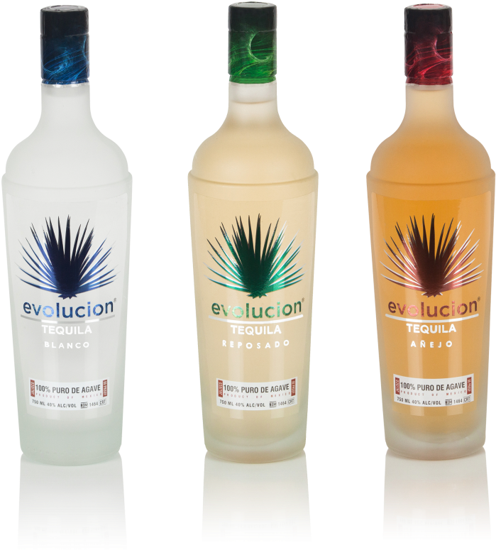 Agave Partners - Menta (1024x819), Png Download