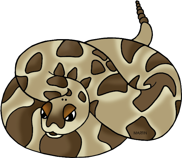 Rattlesnake Clipart Reptile - Reptiles Clipart By Phillip Martin (648x550), Png Download