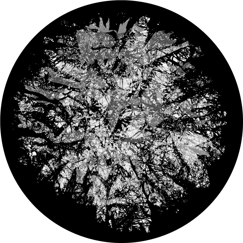 Apollo Design Sr-6210 Thick Canopy B&w Superresolution - Circle (1200x1200), Png Download