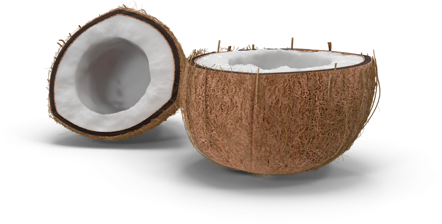 Why Coconut Oil - Teacup (1030x1030), Png Download