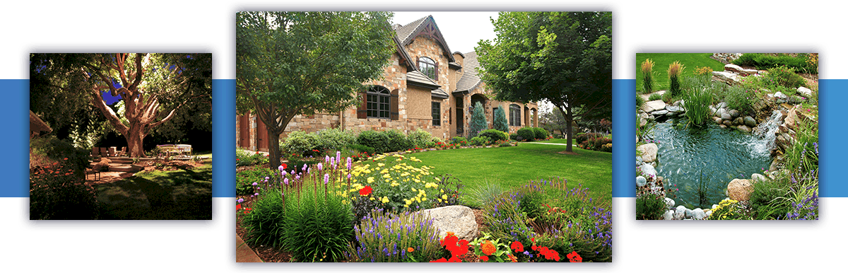 Residential Landscape Design And Construction Timberline - Yard (1200x386), Png Download