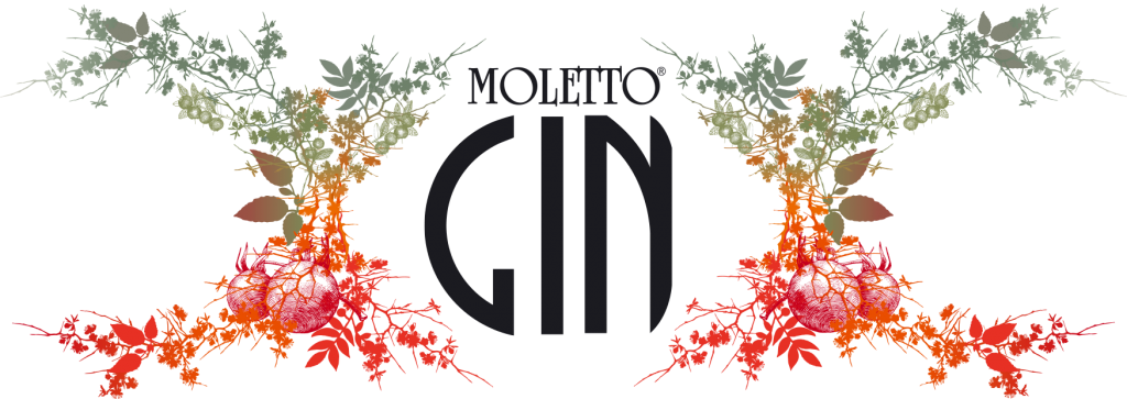 Moletto Gin (1024x363), Png Download
