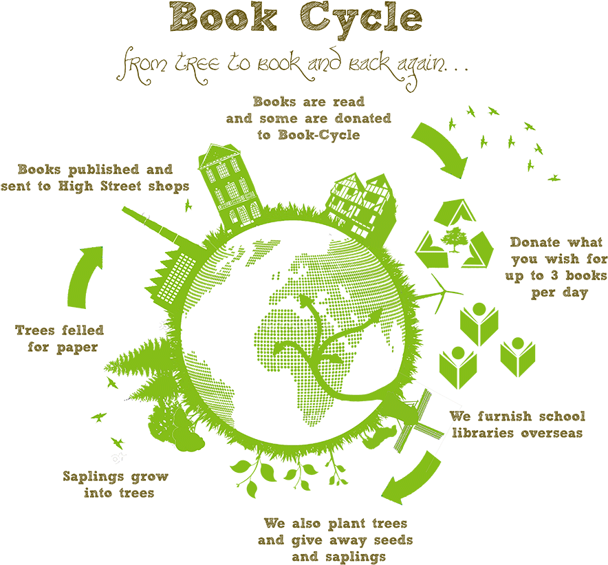 Png Infographic Web - Sketch Font (900x842), Png Download