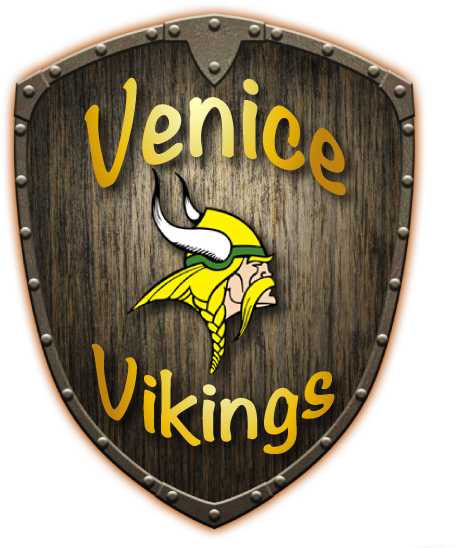 Vikings-shield - Minnesota Vikings (720x599), Png Download