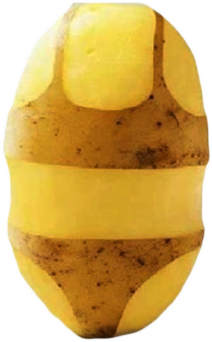 Long Live The Reign Of The Potato - Russet Burbank Potato (630x921), Png Download
