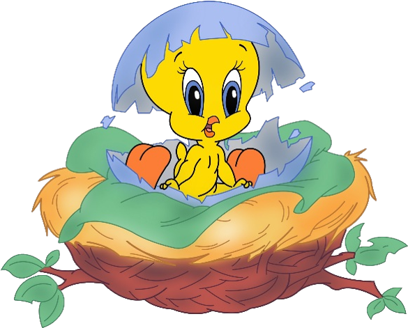 Tweety Pie Cartoon Clip Art Images - Baby Tweety Bird Png (600x600), Png Download