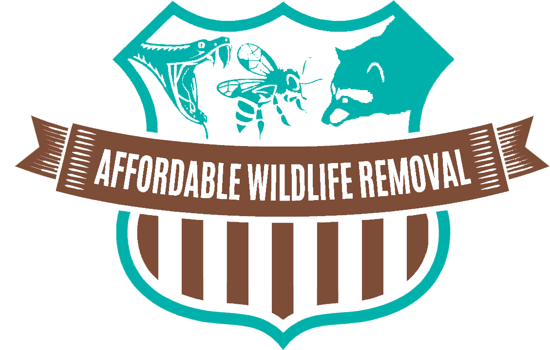 Affordable Wildlife Removal - Emblem (1162x797), Png Download