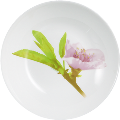 Soup Plate - Water Color Тарелки (480x480), Png Download