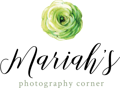 Delicate Watercolor Flower - Garden Roses (540x460), Png Download