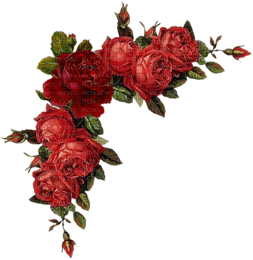 Flower Border Png - Red Floral Border Png (400x382), Png Download