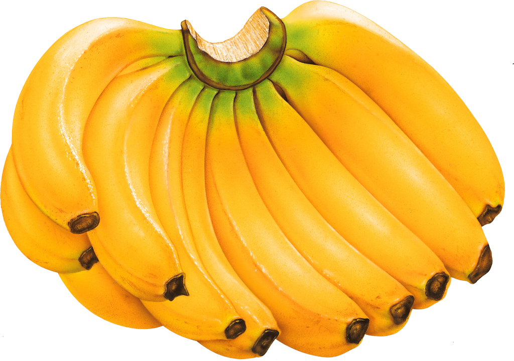 Banana Png Vector Image - Banana Png (1024x719), Png Download