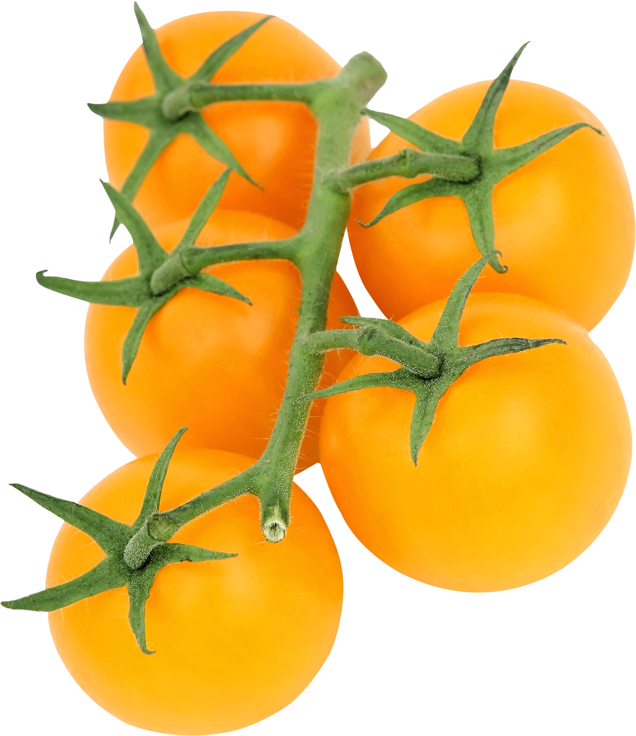Yellow Tomato Png (1350x1570), Png Download