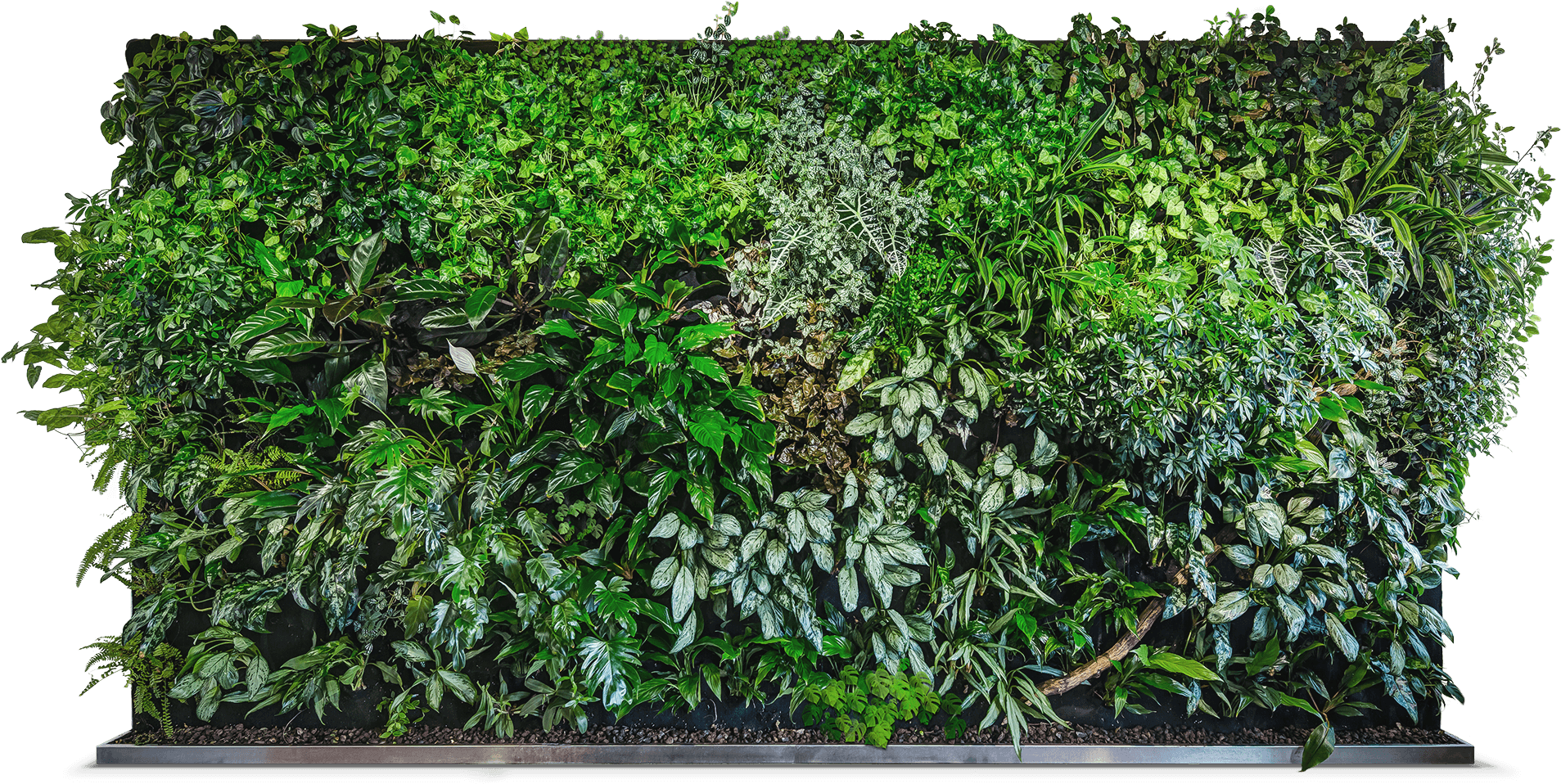 Created To Make You Feel Positively Better - Superpitcher Golden Ravedays 6 Lp (2048x1002), Png Download