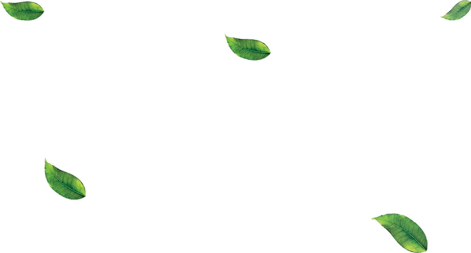 Download Falling Green Leaves Png - Leaf PNG Image with No Background -  