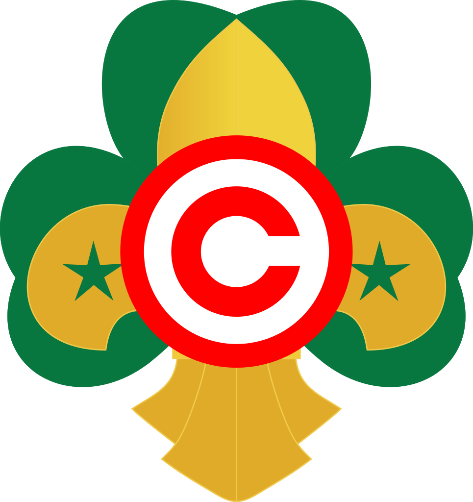 1,024 Pixels - Fleur-de-lis In Scouting (965x1024), Png Download