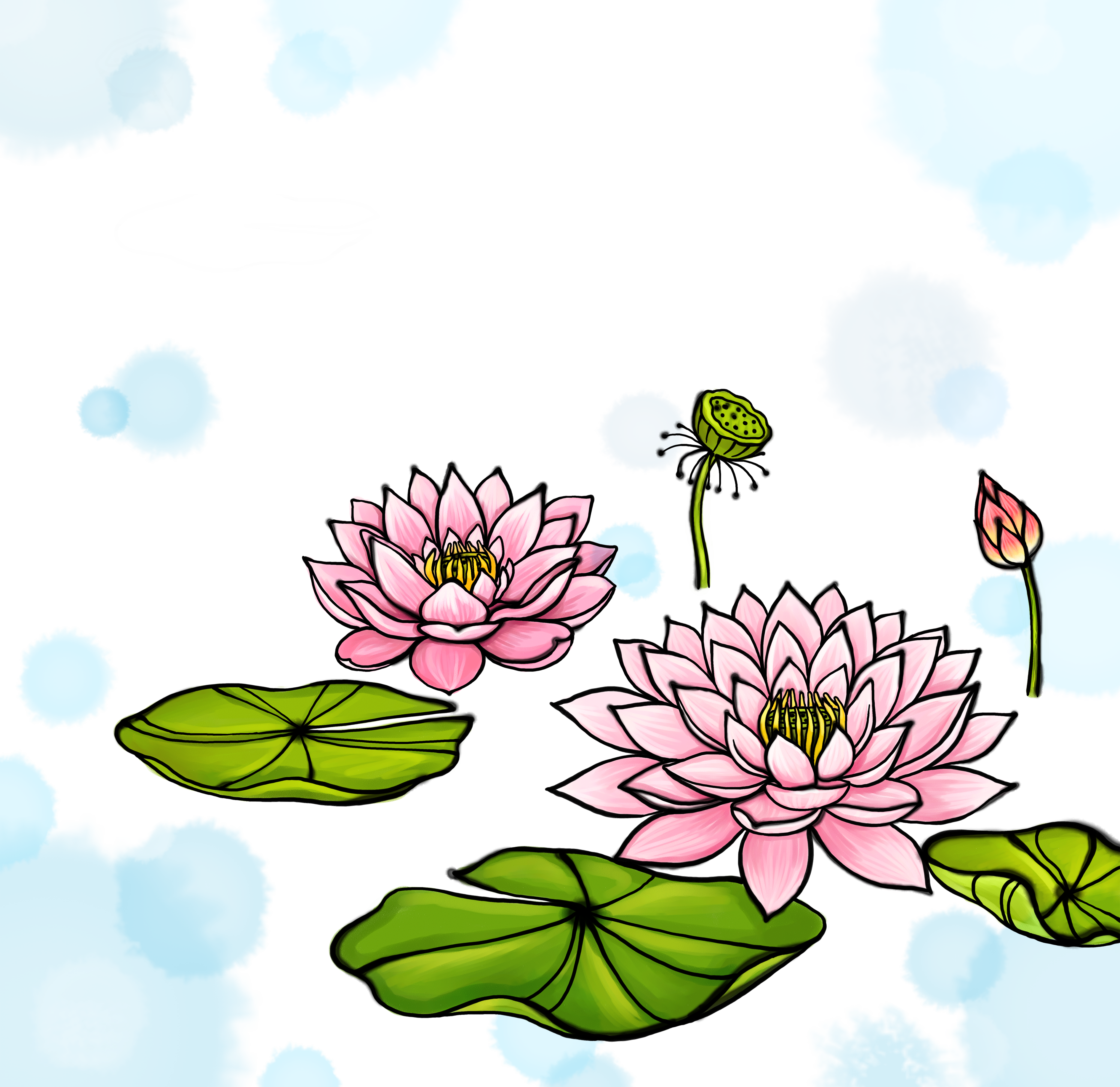 Nelumbo Nucifera Watercolor Painting - 荷花 卡通 (3780x3667), Png Download