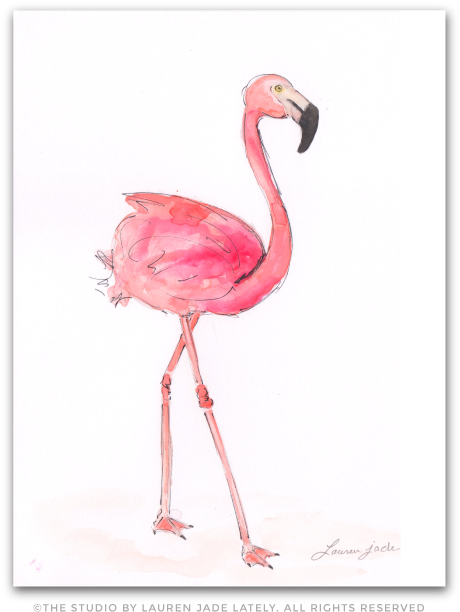 Flamingo Watercolor Illustration The Studio By Lauren - Watercolor Painting (492x654), Png Download