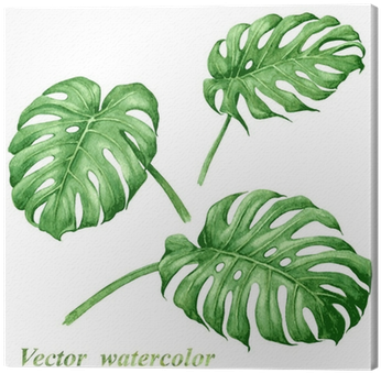 Set Of Watercolor Tropical Plants Leaves - Tropical Leaves Vector Watercolour (400x400), Png Download