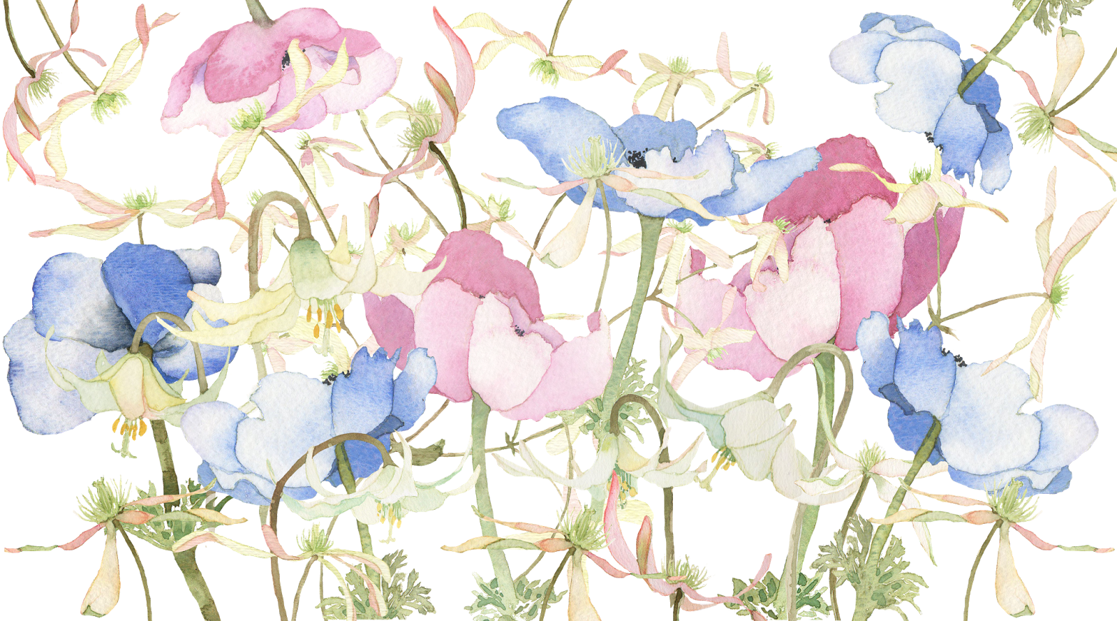Undefined - Flower (1600x889), Png Download