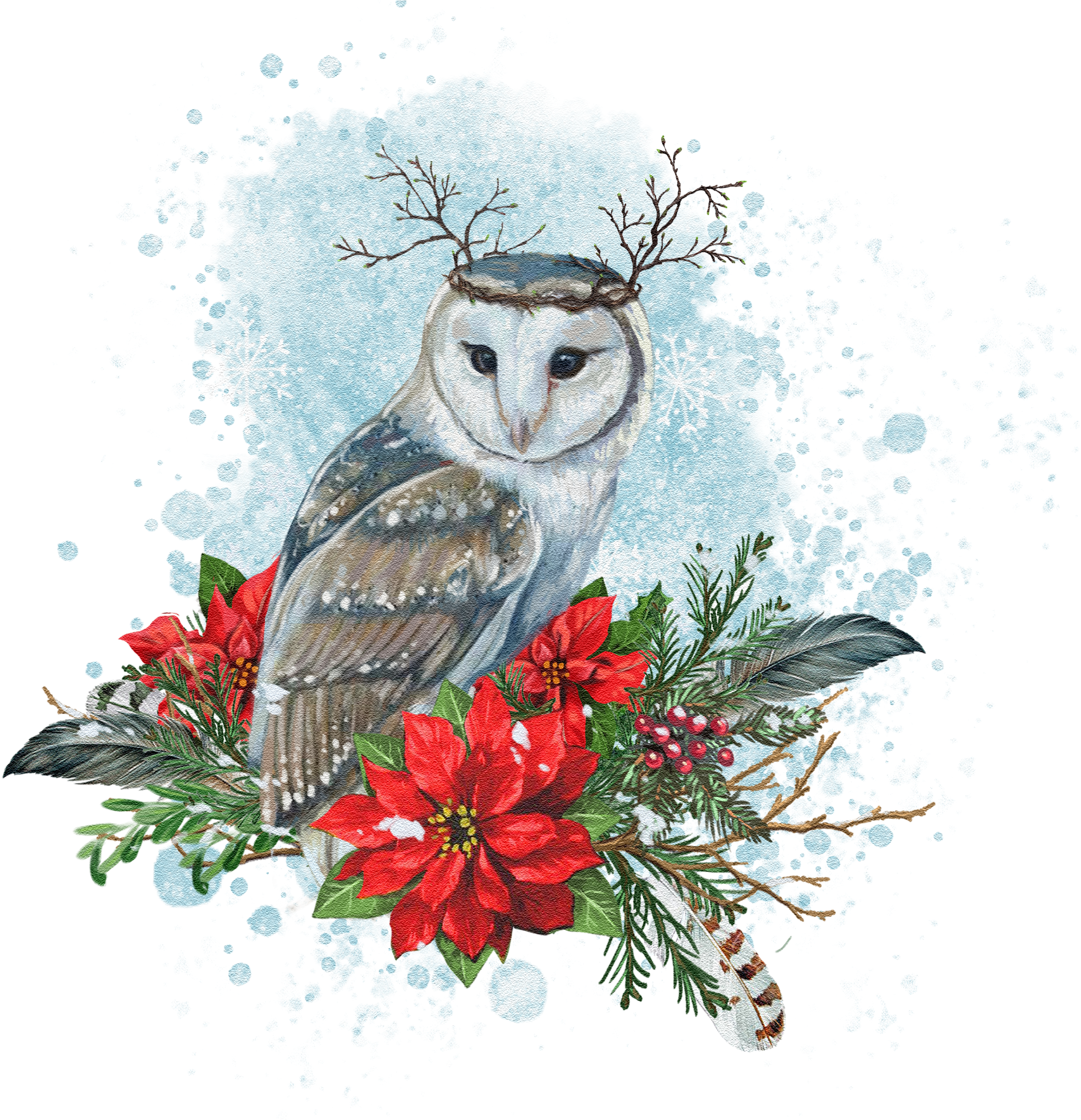 Seasonal Illustrations For Packaging And Merchandising - Barn Owl (3000x3004), Png Download
