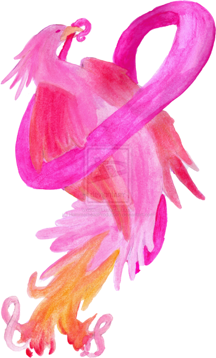 Breast Cancer Phoenix By ~hammerheadproduction On Deviantart - Floral Design (695x1150), Png Download
