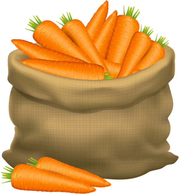 Download Frutas E Legumes - Basket Of Carrot Cartoon PNG Image with No  Background 
