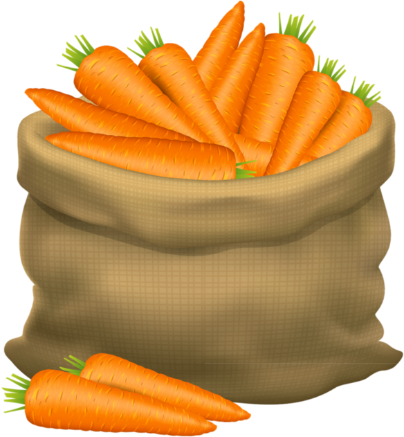 Download Frutas E Legumes - Basket Of Carrot Cartoon PNG Image with No Background Download Frutas E Legumes - Basket Of Carrot Cartoon PNG Image with No Background