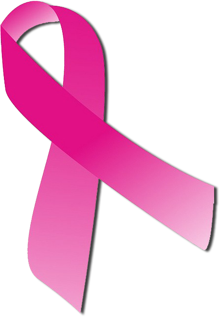 Pink Ribbon Png Transparent Image - Pink Breast Cancer Ribbon Transparent (496x677), Png Download