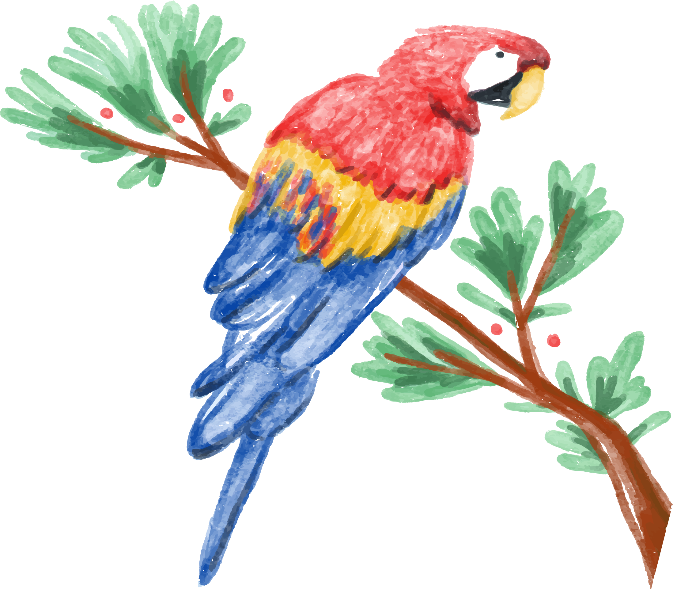 Amazon Parrot Watercolor Painting Illustration - Parrot Watercolor (2881x2474), Png Download