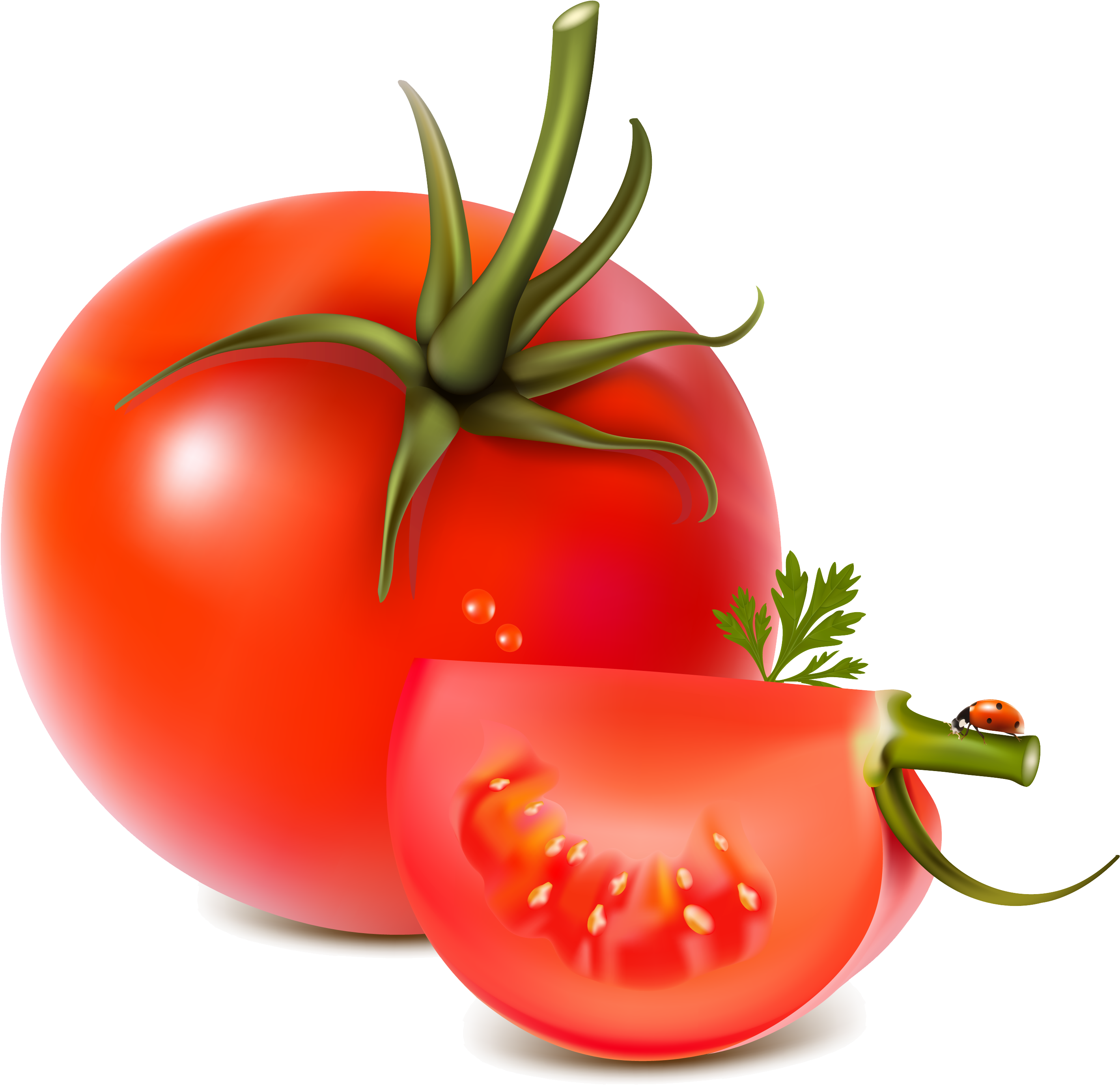 Tomato Png (3000x2962), Png Download