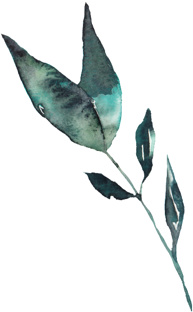 This Graphics Is Creative Leaves, Ink Painting, Transparent, - Illustration (1024x1024), Png Download