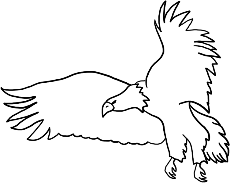 Bald Eagle Drawings Flying Eagle - Black Png Flying Eagle (886x709), Png Download