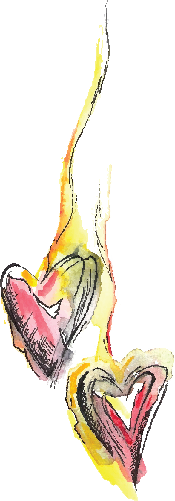 Music (586x1675), Png Download