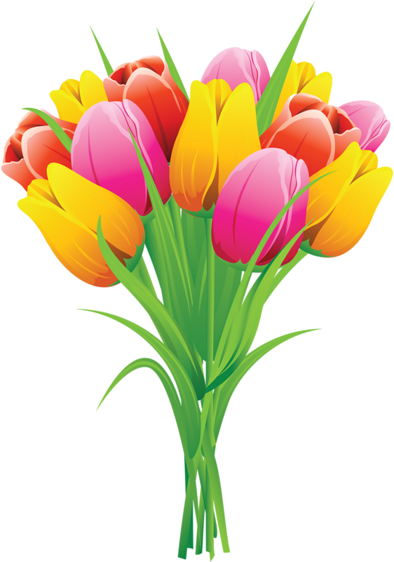 Clipart Tulips (568x800), Png Download