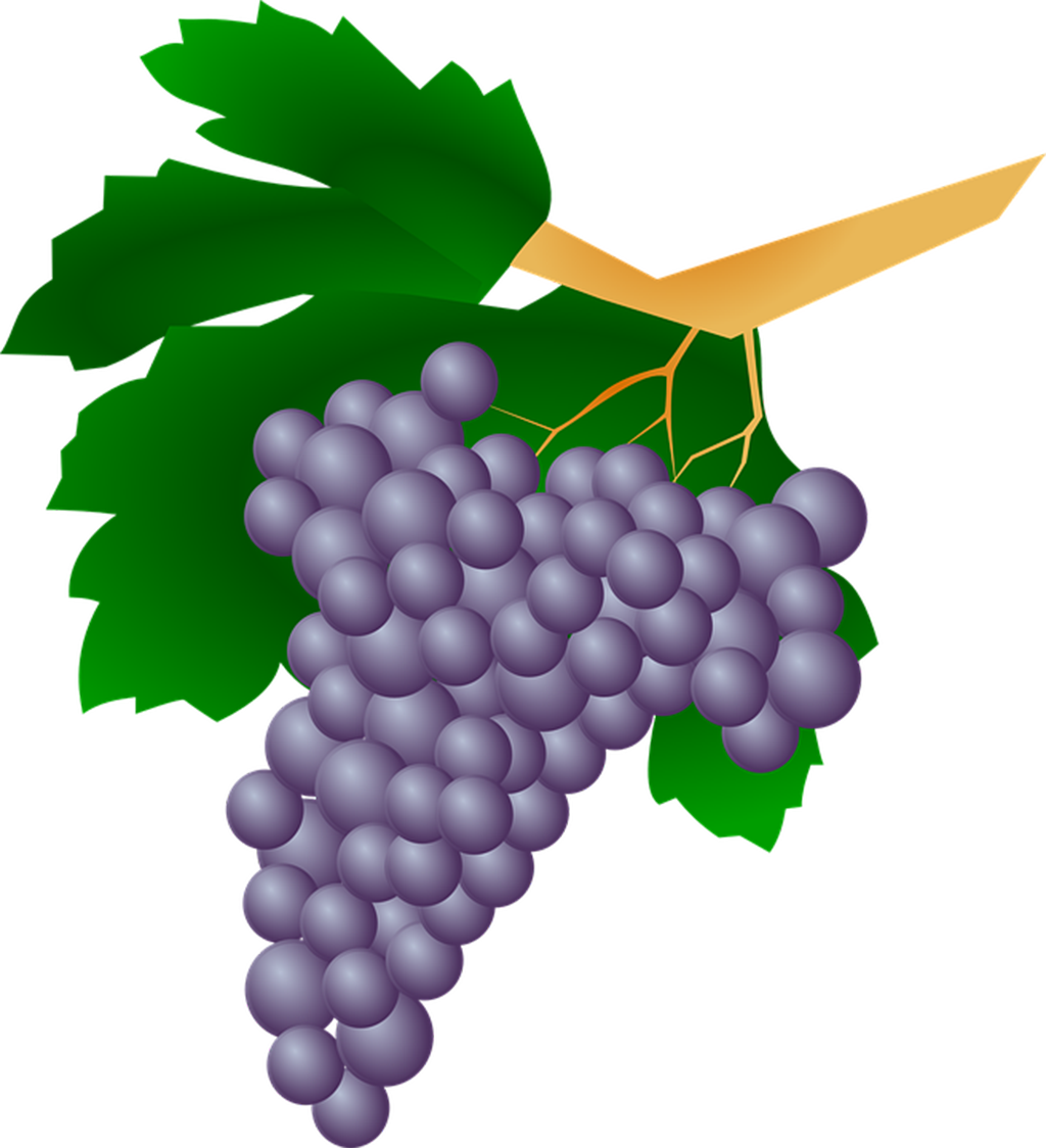 Clipart Raisin (1024x1124), Png Download