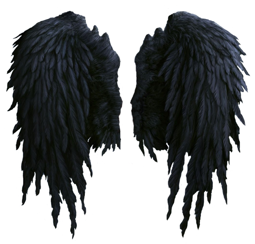 Black Angel Wings Stock Png By Shadow - Black Angel Wings Png (931x859), Png Download