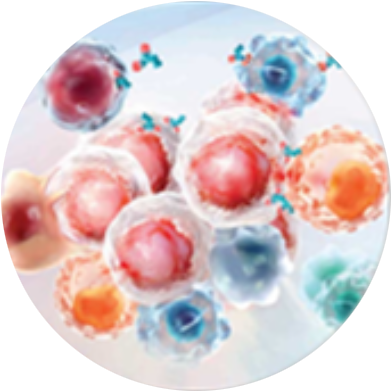 Immuno-oncology - Palette (452x452), Png Download