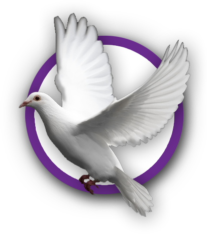 Dove - Stock Dove (412x465), Png Download