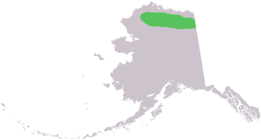 Clip Royalty Free Stock Alaska Vector Watercolor - Alaska Map Black And White (900x527), Png Download